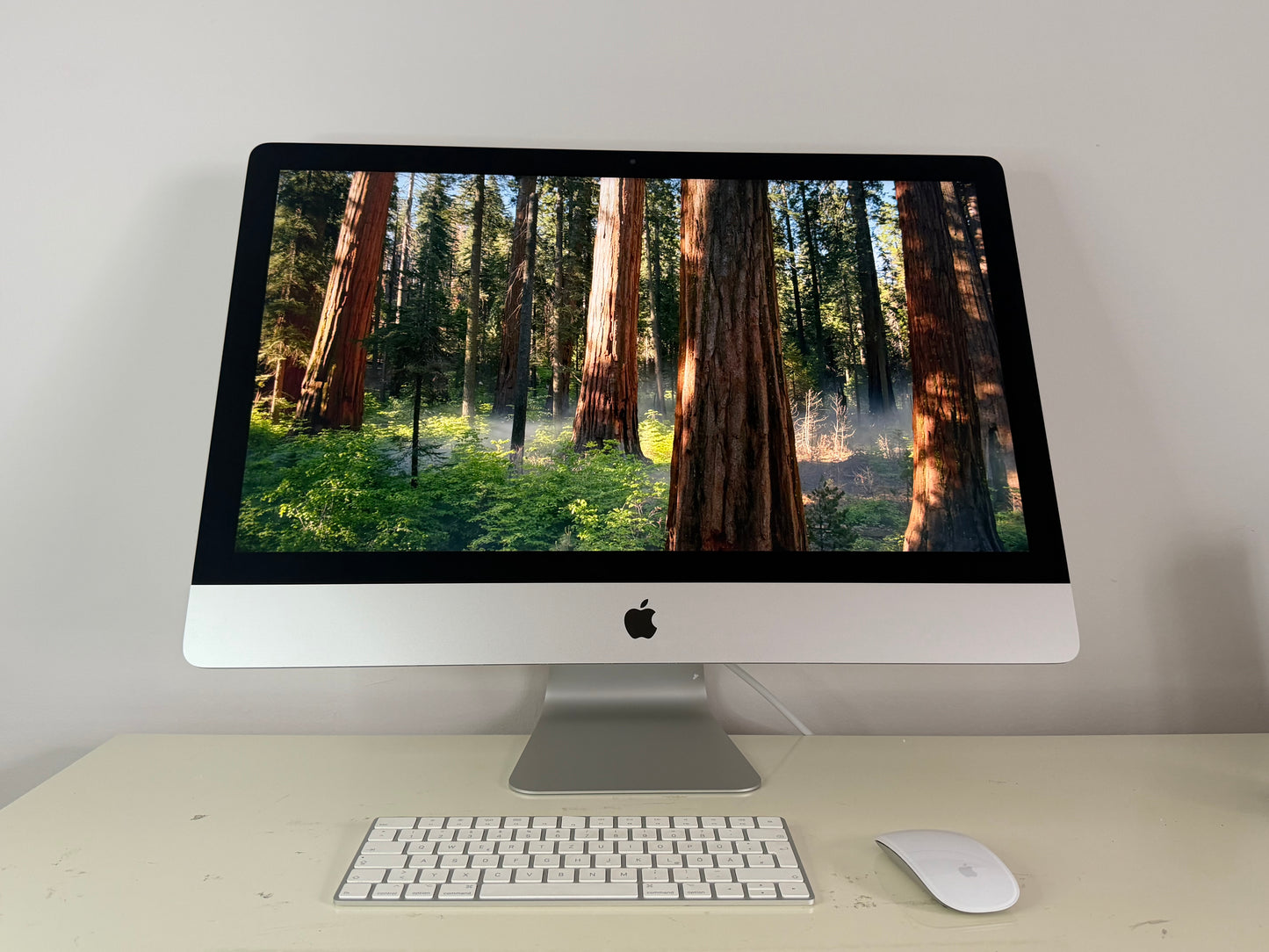 iMac (2019) [27", 5K, Retina, Intel Core i5 3,0GHz, 64GB RAM, 1TB Fusion Drive, AMD Radeon Pro 570X, macOS] argento