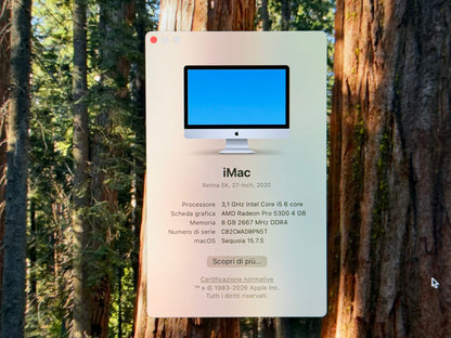 iMac (Mid 2020) [27", 5K Retina, Intel Core i5 3,1GHz, 8GB RAM, 256GB SSD, AMD Radeon Pro 5300, macOS] argento