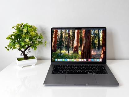 MacBook Pro (2021) [14,2", Apple M1 Pro 8 Core, 16GB RAM, 512GB SSD, Apple 14 Core, macOS] grigio