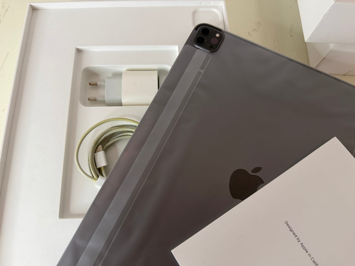 iPad Pro (2021) M1 256GB [12,9" WiFi] Grigio