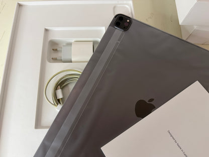 iPad Pro (2021) M1 256GB [12,9" WiFi] Grigio