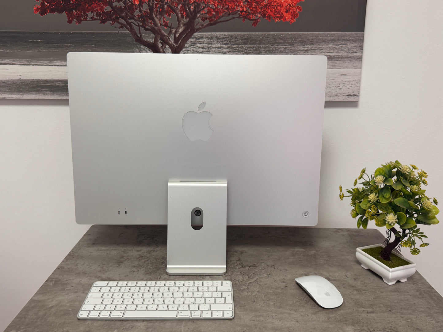 iMac (Mid 2021) [24", Apple M1 8 Core CPU, 8GB RAM, 256GB SSD, Apple 7 Core, macOS] Argento