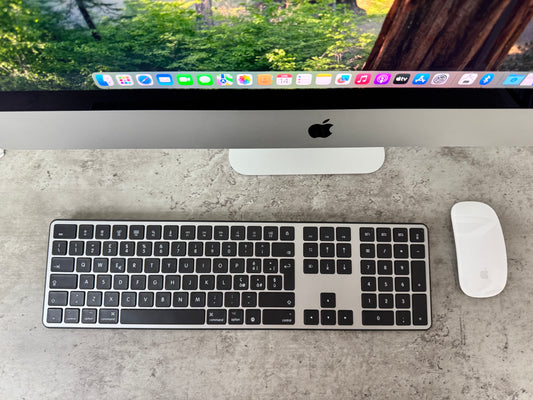 iMac (2020) [27", 5K Retina, Intel Core i5 3,1GHz, 16GB RAM, 256GB SSD, AMD Radeon PR0 5300 4GB, macOS] argento