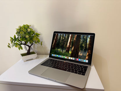 MacBook Pro (2019) [13,3", Touch Bar, Intel Core i5 2,4GHz, 16GB RAM, 256GB SSD, Intel Iris Plus Graphics 655, Mac OS X] argento