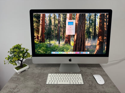 iMac (2020) [27", 5K Retina, Intel Core i5 3,3GHz, 32GB RAM, 1TB SSD, AMD Radeon PR0 5300 4GB, macOS] argento