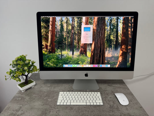 iMac (2020) [27", 5K Retina, Intel Core i5 3,3GHz, 32GB RAM, 1TB SSD, AMD Radeon PR0 5300 4GB, macOS] argento