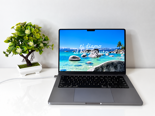 MacBook Pro (2021) [14,2", Apple M1 Pro 8 Core, 16GB RAM, 512GB SSD, Apple 14 Core, macOS] grigio