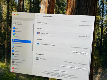 iMac (2019) [21,5", 4K, Retina, Intel Core i5 3,0GHz, 16GB RAM, 256 GB, AMD Radeon Pro 560X, macOS] argento