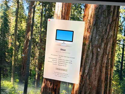 iMac (2019) [21,5", 4K, Retina, Intel Core i5 3,0GHz, 16GB RAM, 256 GB, AMD Radeon Pro 560X, macOS] argento