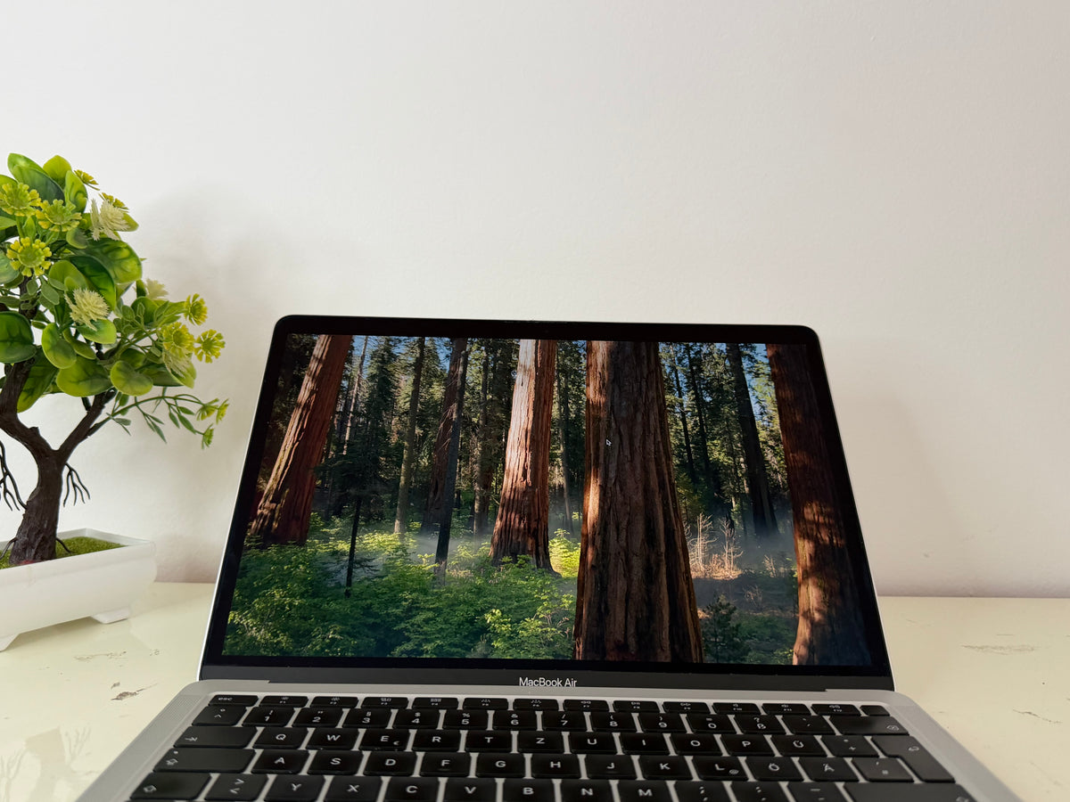 MacBook Air (2020) [13,3", Retina, Intel Core i3 1,1GHz, 8GB RAM, 256GB SSD, Intel Iris Plus Graphics, macOS] argento