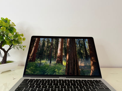 MacBook Air (2020) [13,3", Retina, Intel Core i3 1,1GHz, 8GB RAM, 256GB SSD, Intel Iris Plus Graphics, macOS] argento