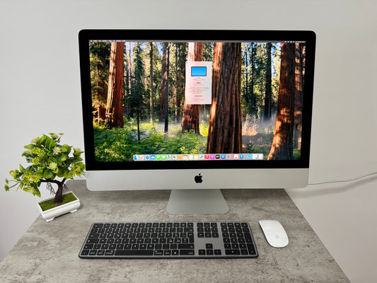 iMac (2020) [27", 5K Retina, Intel Core i5 3,1GHz, 16GB RAM, 256GB SSD, AMD Radeon PR0 5300 4GB, macOS] argento