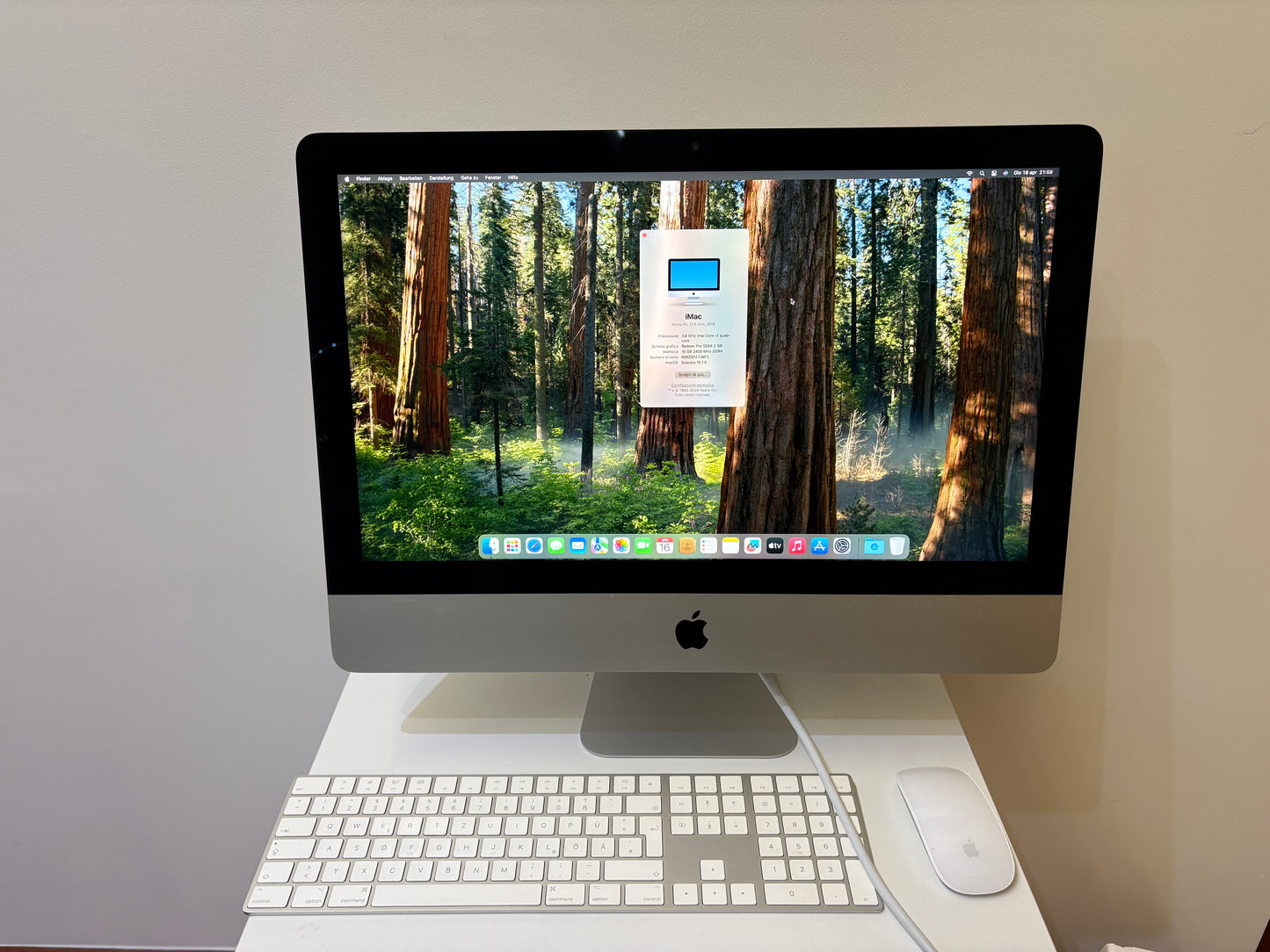 iMac (2019) [21,5", 4K, Retina, Intel Core i5 3,0GHz, 16GB RAM, 256 GB, AMD Radeon Pro 560X, macOS] argento