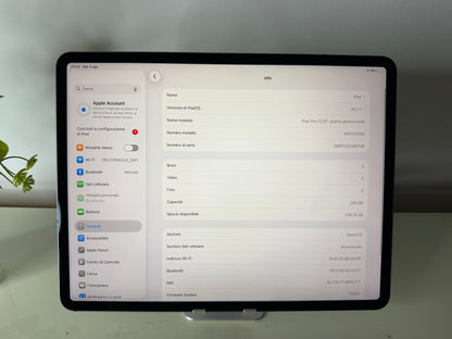 iPad Pro (2020) 12.9” WI-FI+Cellular 256GB Grigio