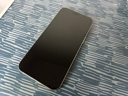 iPhone 15 Pro Max 512GB Titanio Bianco