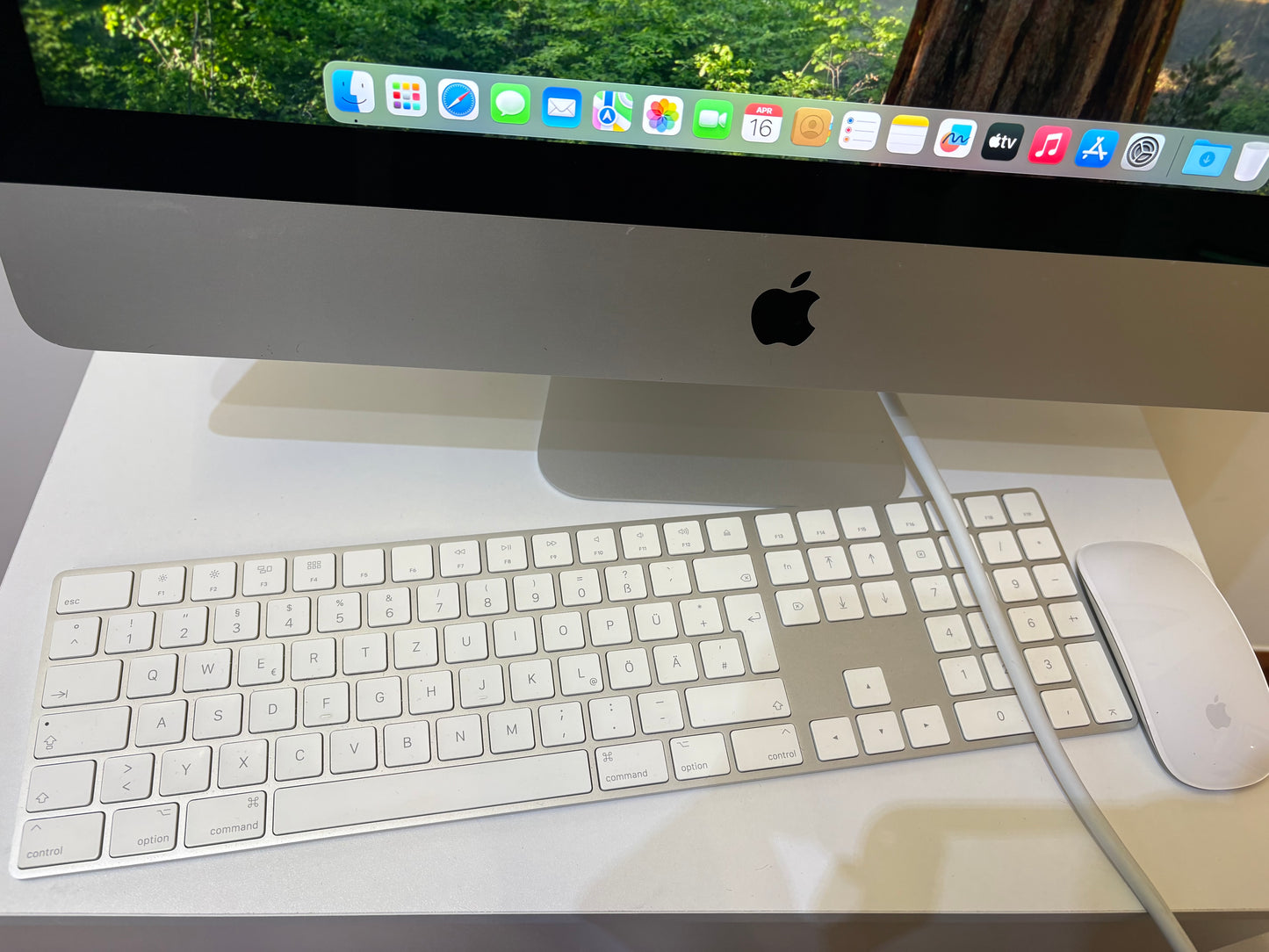 iMac (2019) [21,5", 4K, Retina, Intel Core i5 3,0GHz, 16GB RAM, 256 GB, AMD Radeon Pro 560X, macOS] argento