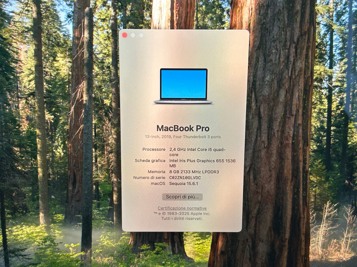 MacBook Pro (2019) [13,3", Touch Bar, Intel Core i5 2,4GHz, 8GB RAM, 256GB SSD, Intel Iris Plus Graphics 655, Mac OS X] Grigio
