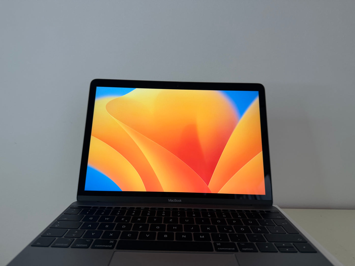 MacBook (Mid 2017) [12", Retina, Intel Core i5 1,3GHz, 8GB RAM, 512GB SSD, Intel HD Graphics 615, macOS] Grigio
