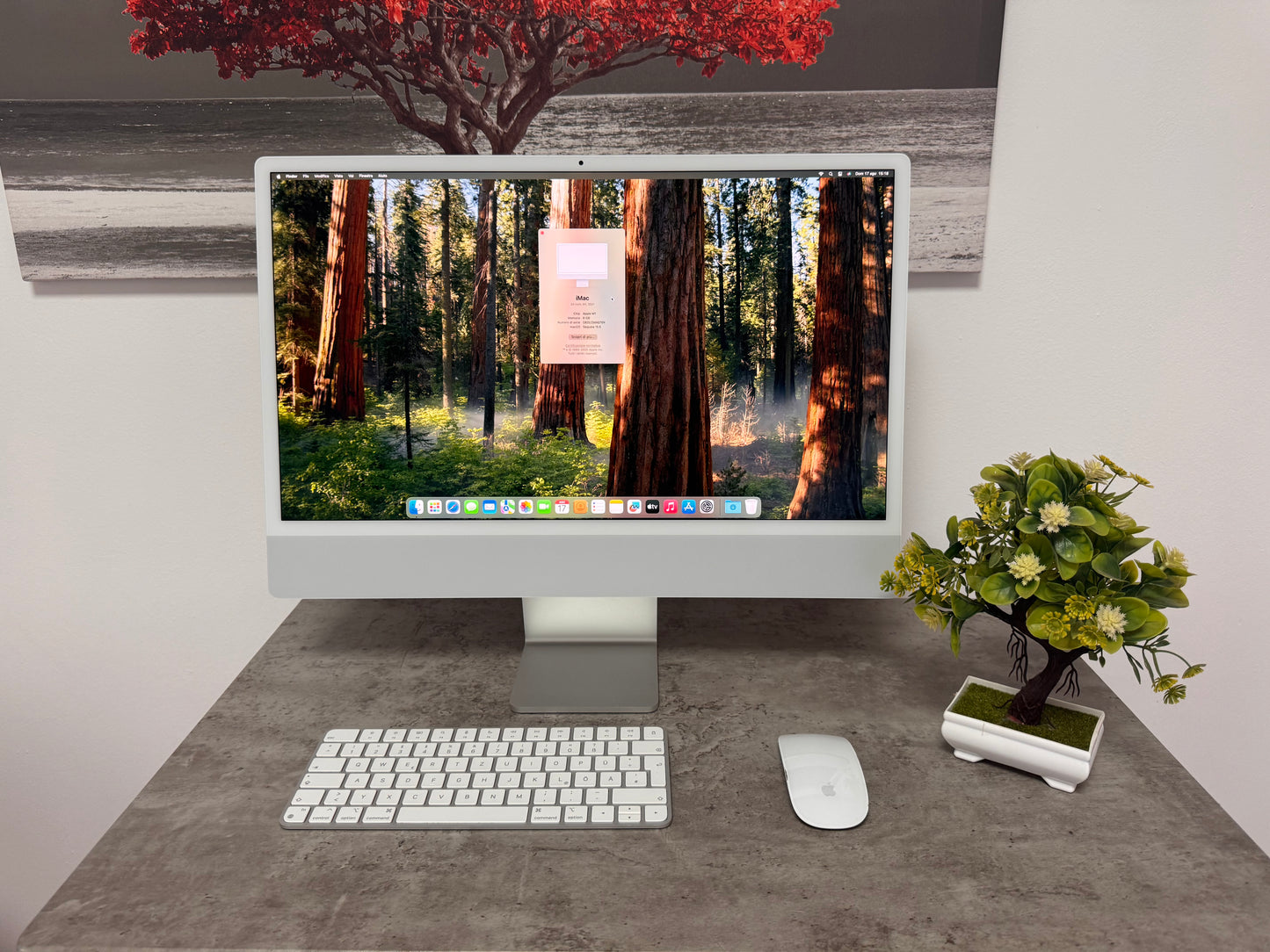 iMac (Mid 2021) [24", Apple M1 8 Core CPU, 8GB RAM, 256GB SSD, Apple 7 Core, macOS] Argento