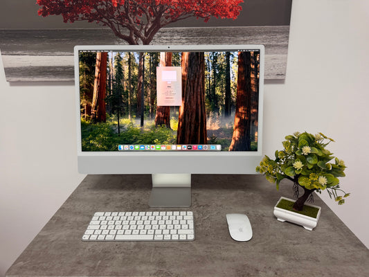 iMac (Mid 2021) [24", Apple M1 8 Core CPU, 8GB RAM, 256GB SSD, Apple 7 Core, macOS] Argento