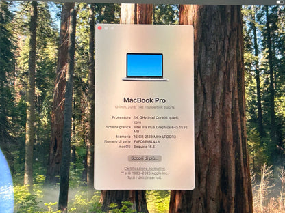 MacBook Pro (2019) [13,3", Touch Bar, Intel Core i5 1,4GHz, 16GB RAM, 256GB SSD, Intel Iris Plus Graphics 645, Mac OS X] Grigio