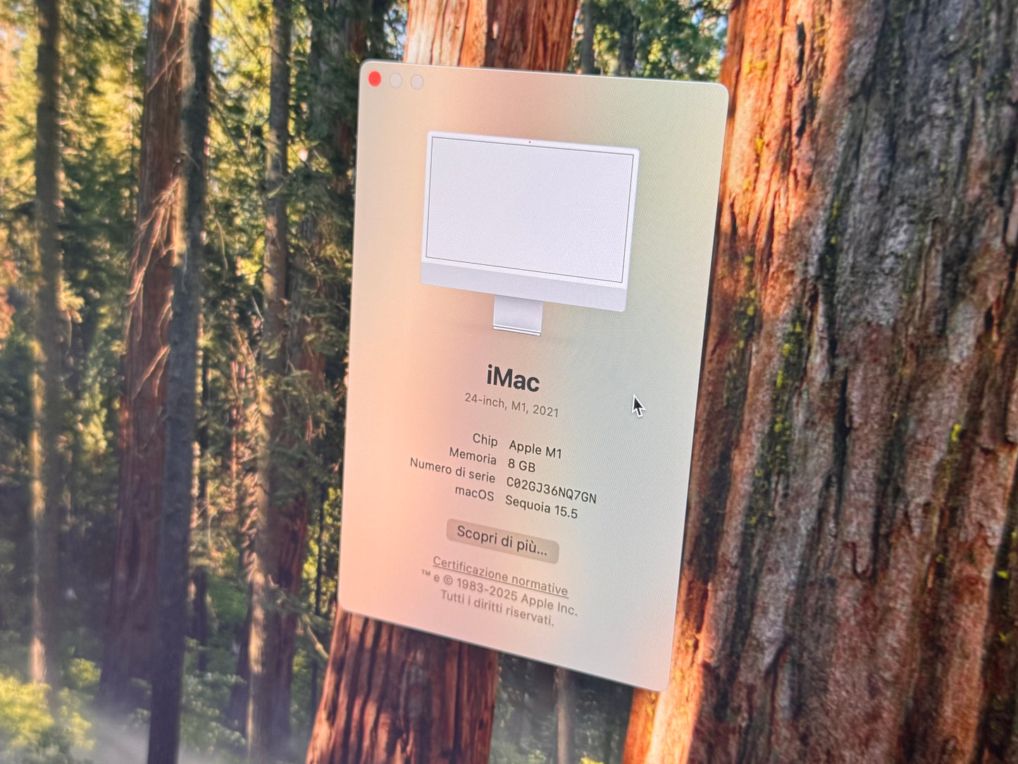 iMac (Mid 2021) [24", Apple M1 8 Core CPU, 8GB RAM, 256GB SSD, Apple 7 Core, macOS] Argento