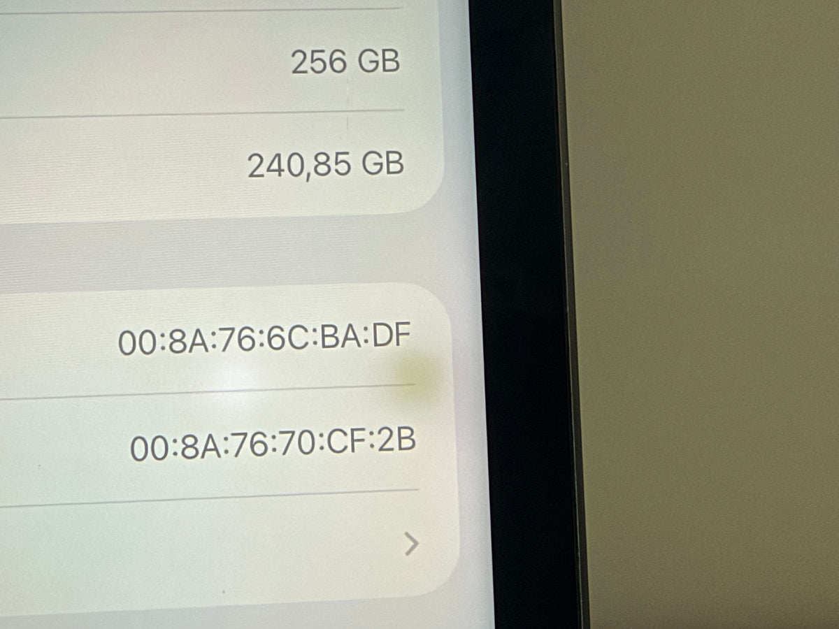 iPad Pro (2021) M1 256GB [12,9" WiFi] Grigio