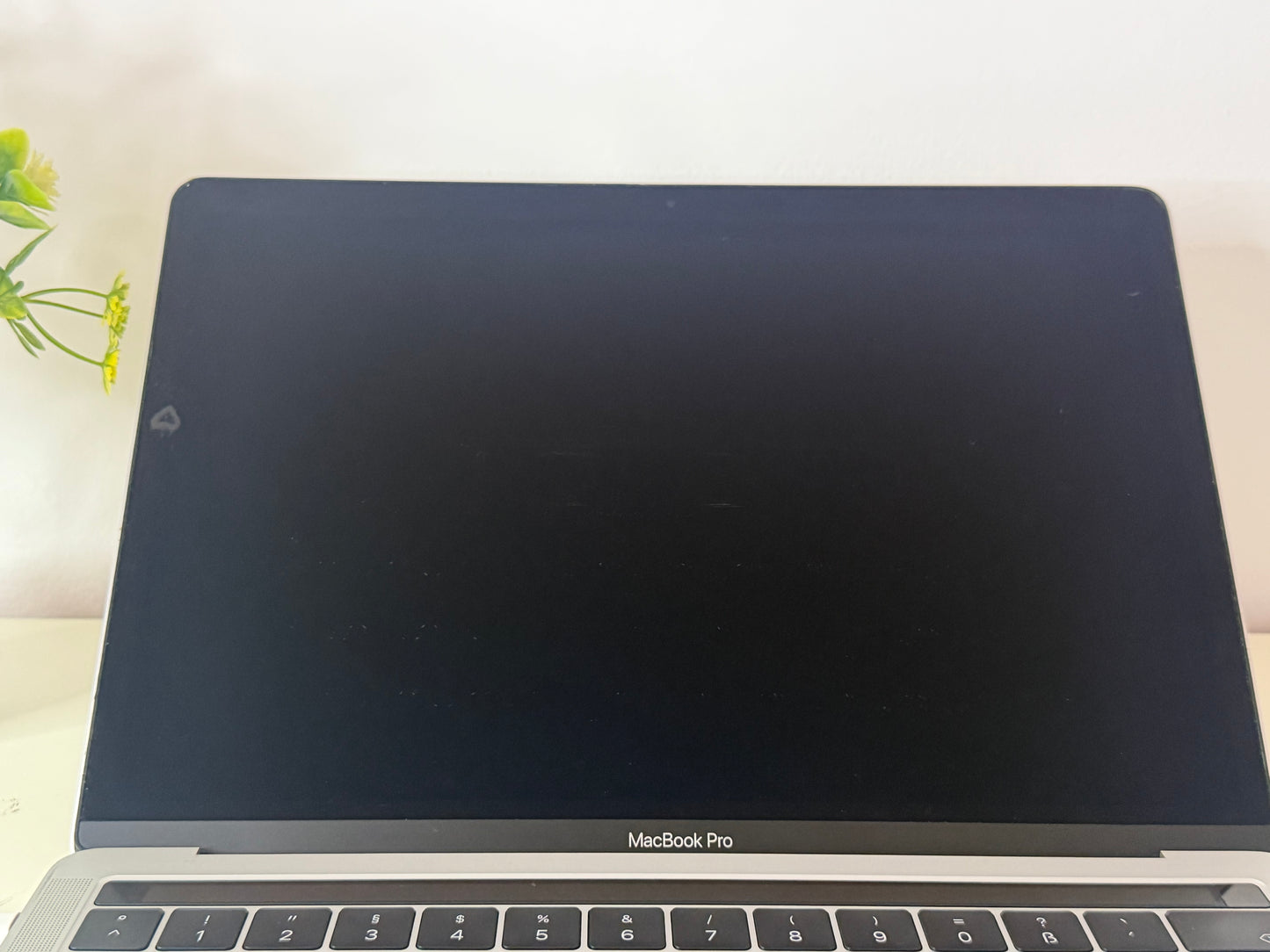 MacBook Pro (2017) [13,3", Retina, Touch Bar, Intel Core i5 3,1GHz, 16GB RAM, 512GB SSD, Intel Iris Plus Graphics 650, macOS] argento